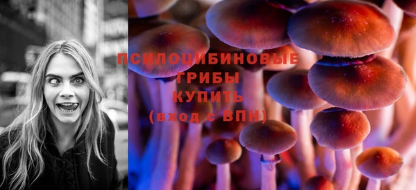 твердый Алексеевка