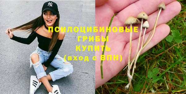 гидропоника Абдулино