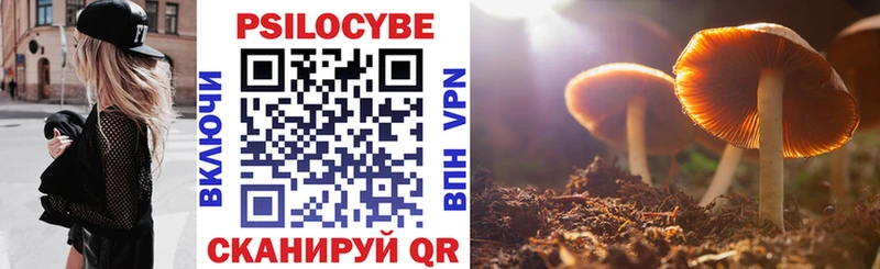 Галлюциногенные грибы Psilocybine cubensis Каменногорск