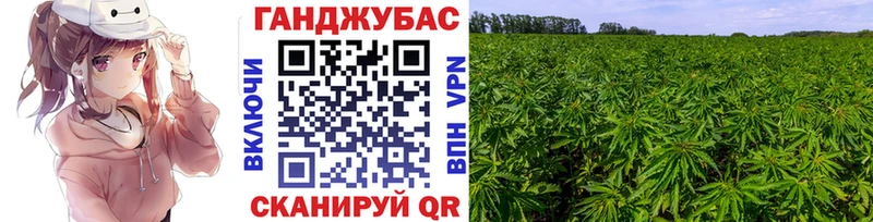 Бошки марихуана планчик  Каменногорск 